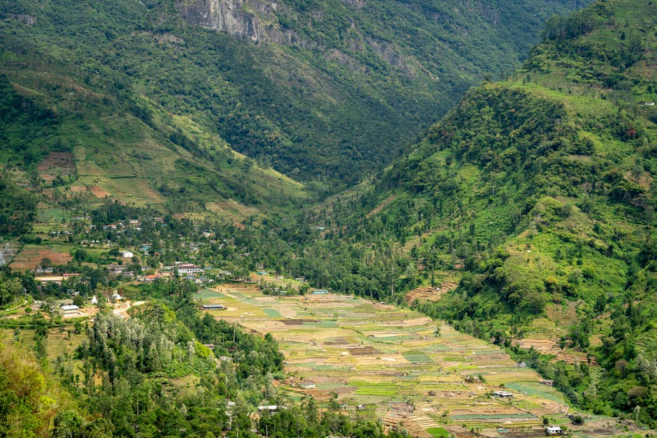 Eastern Province landscape