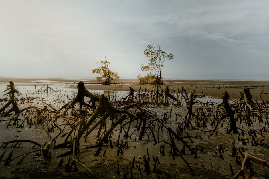 An atmospheric view of mangrove roots at low tide in Tanjong Sepat, Malaysia.