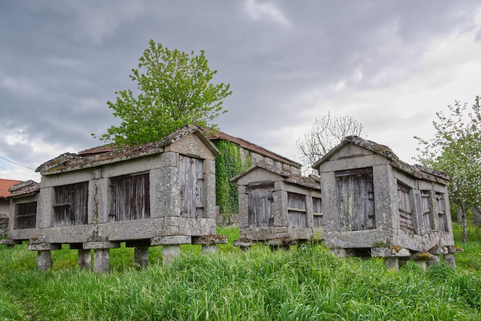 Historic stone granaries amid lush greenery in rural Lindoso, Portugal.