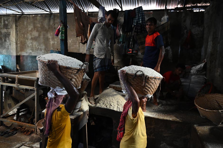 Asian men engaged in manual labor in a traditional rice factory carrying woven baskets of rice.