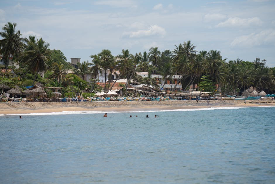 Relaxing tropical beach scene in Sri Lanka with palm trees and clear blue ocean waters.