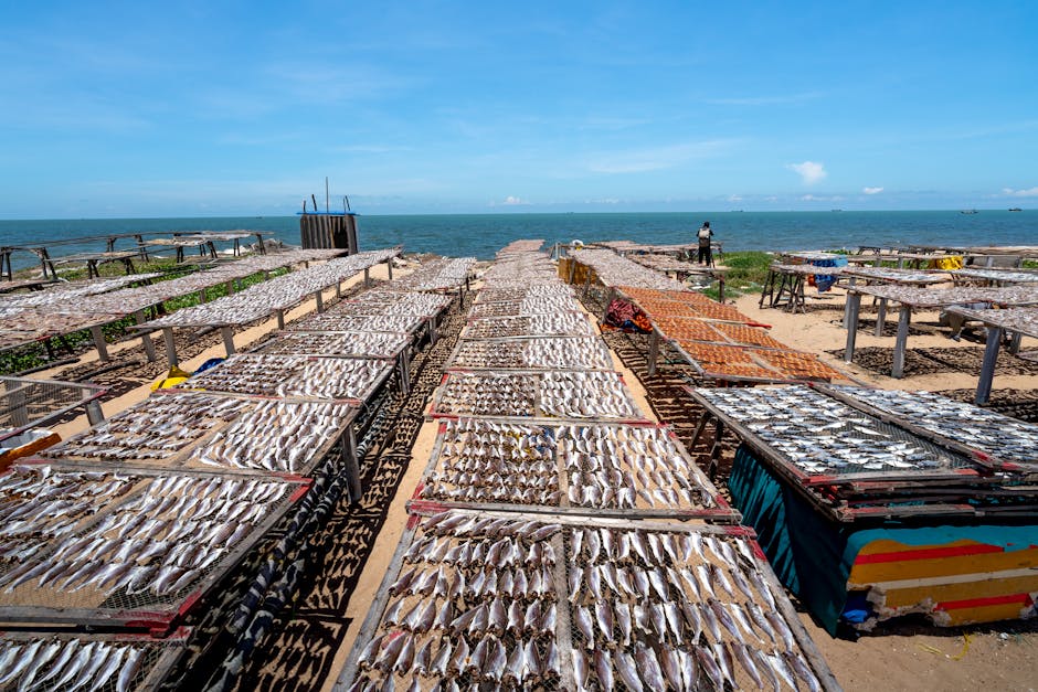 A picturesque scene of fish drying on racks by the beach under a clear sky.