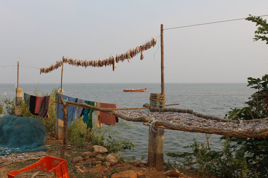 Traditional fish drying racks on the Indian coastline with a distant boat and serene seascape.
